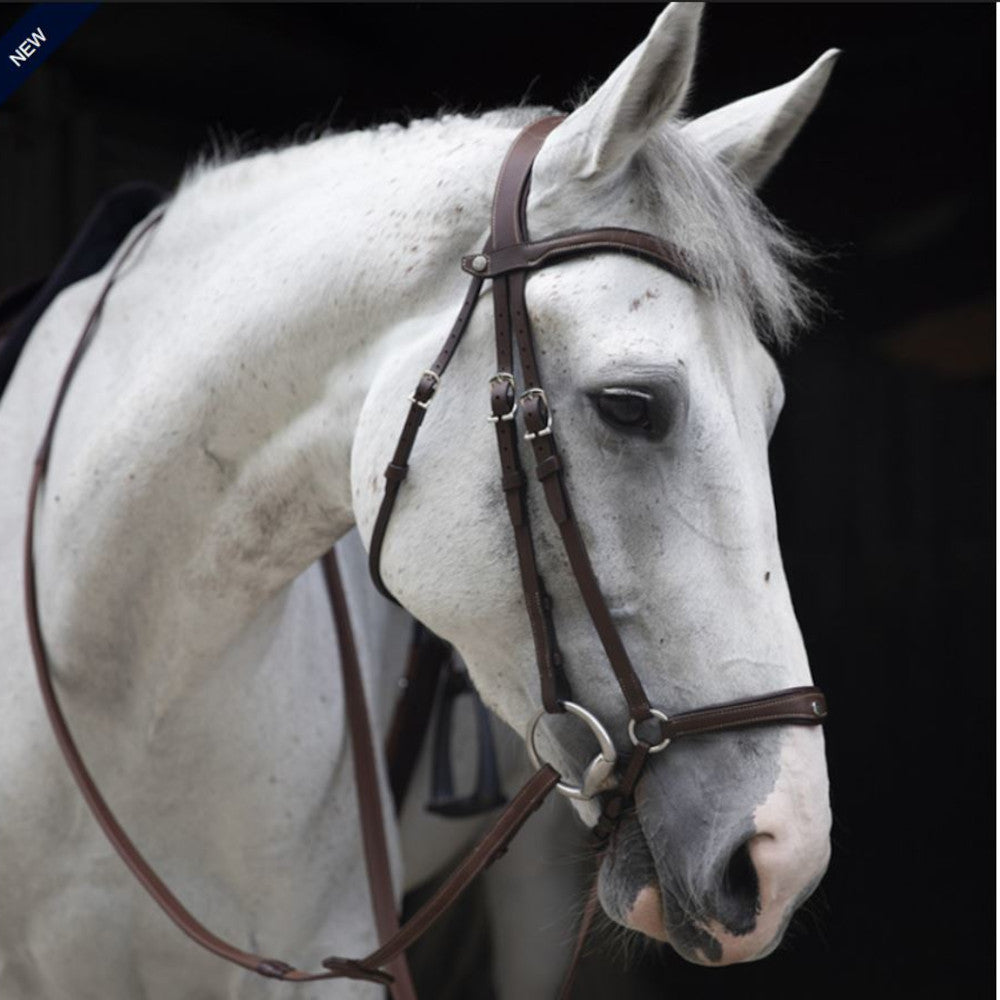 Drop Noseband Bridle