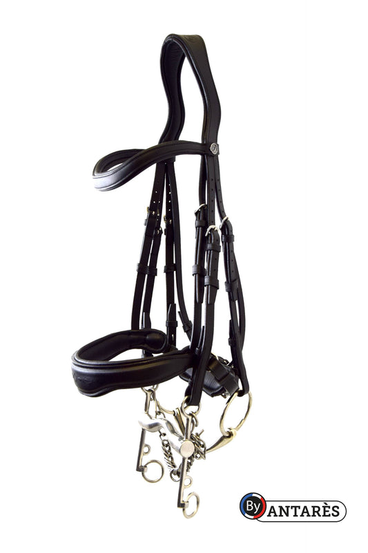 Signature Dressage Double Bridle