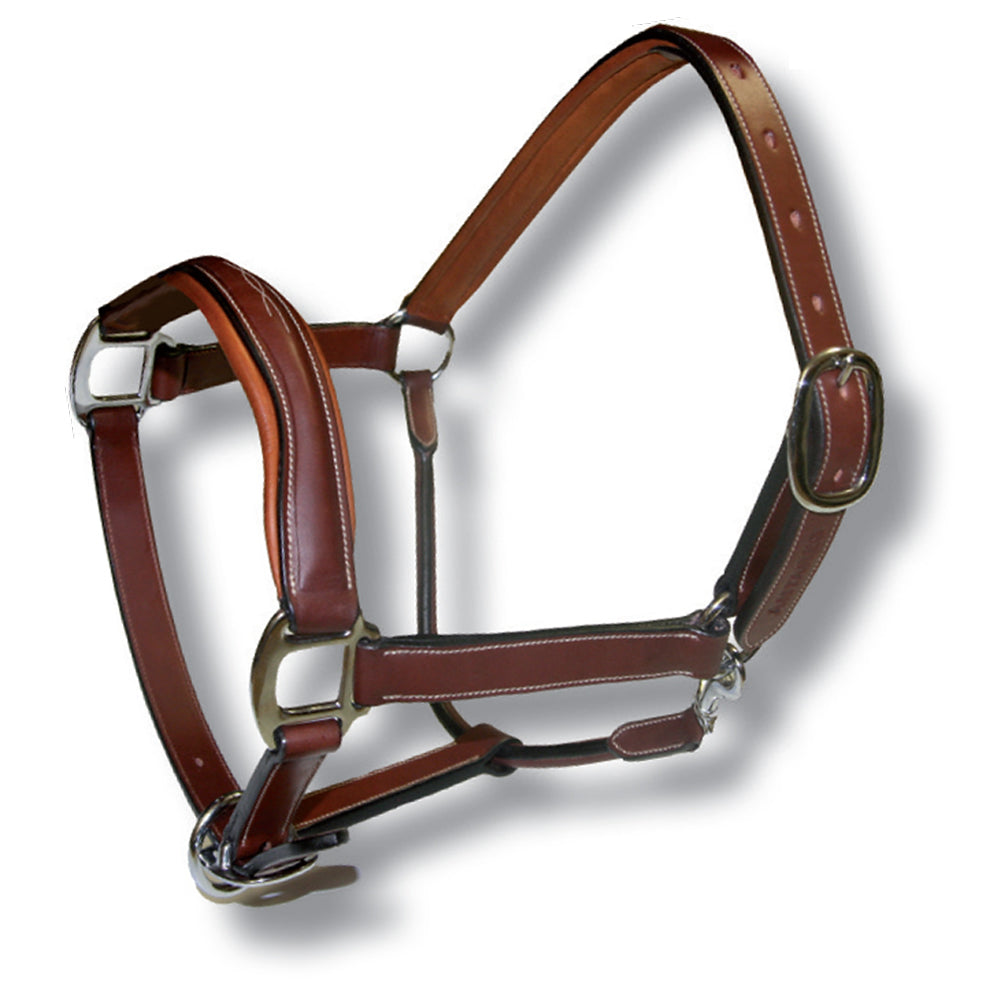 Leather Headcollar