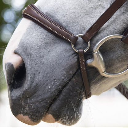 Drop Noseband Bridle